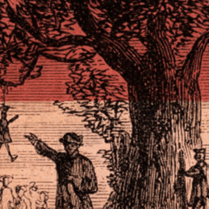 A Potent Force: The Liberty Tree Flag & The Spirit of American Protest