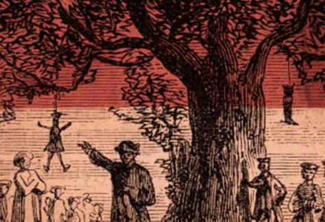 A Potent Force: The Liberty Tree Flag & The Spirit of American Protest