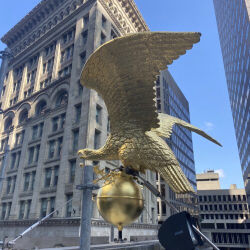 Eagle mounted